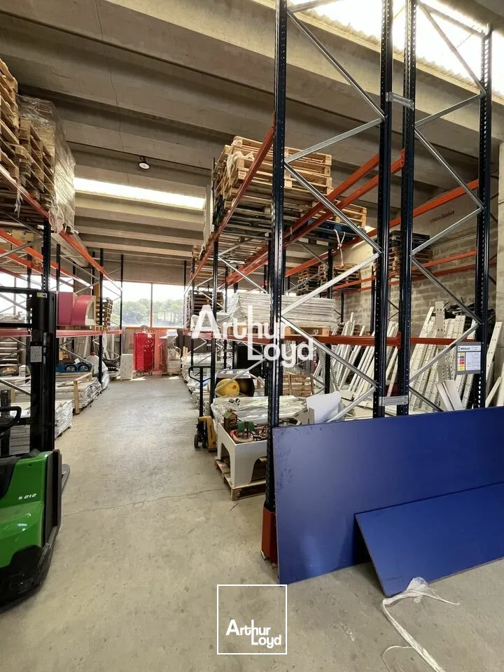 Locaux d'activité & Entrepôts - Location - ANTIBES - 06600 - 290-290 - 7817241