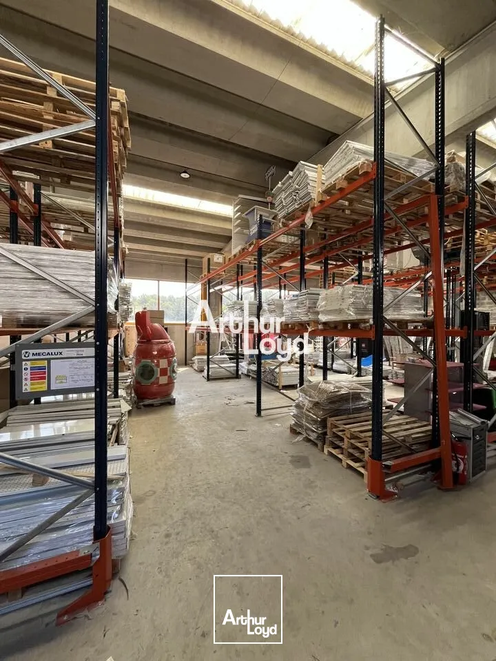 Locaux d'activité & Entrepôts - Location - ANTIBES - 06600 - 290-290 - 7817244