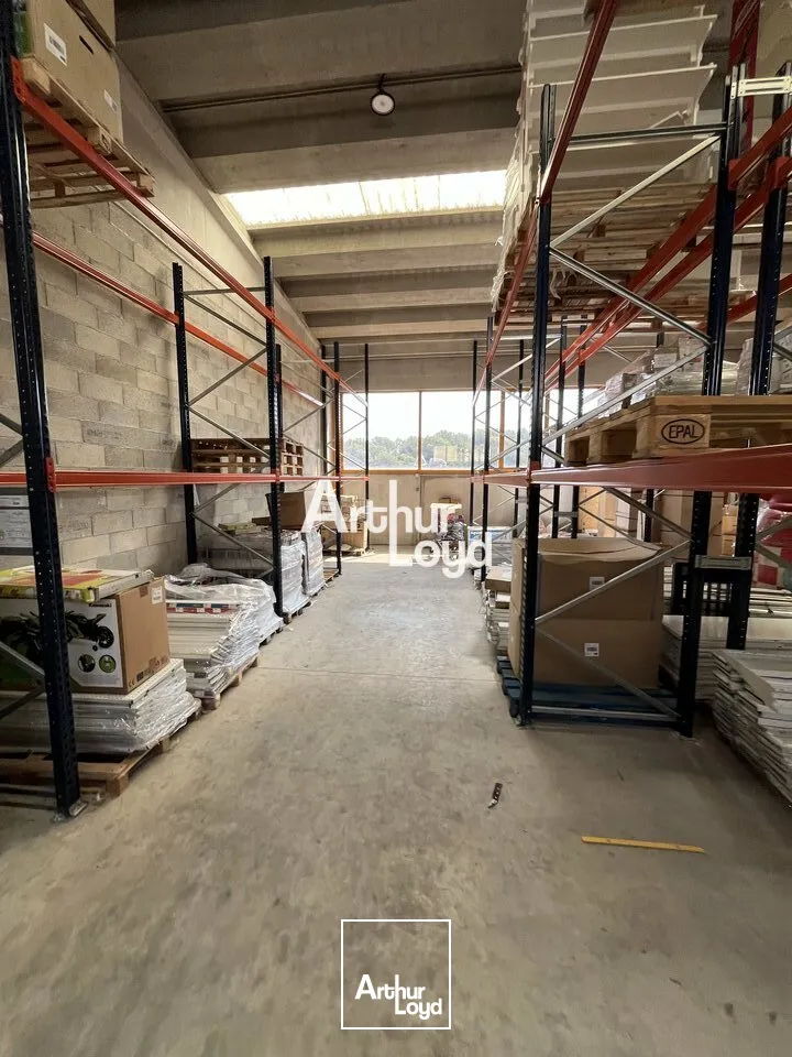 Locaux d'activité & Entrepôts - Location - ANTIBES - 06600 - 290-290 - 7817245