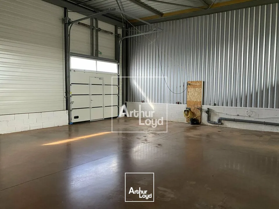 Locaux d'activité & Entrepôts - Vente - CHARTRETTES - 77590 - 225-225 - 7817260