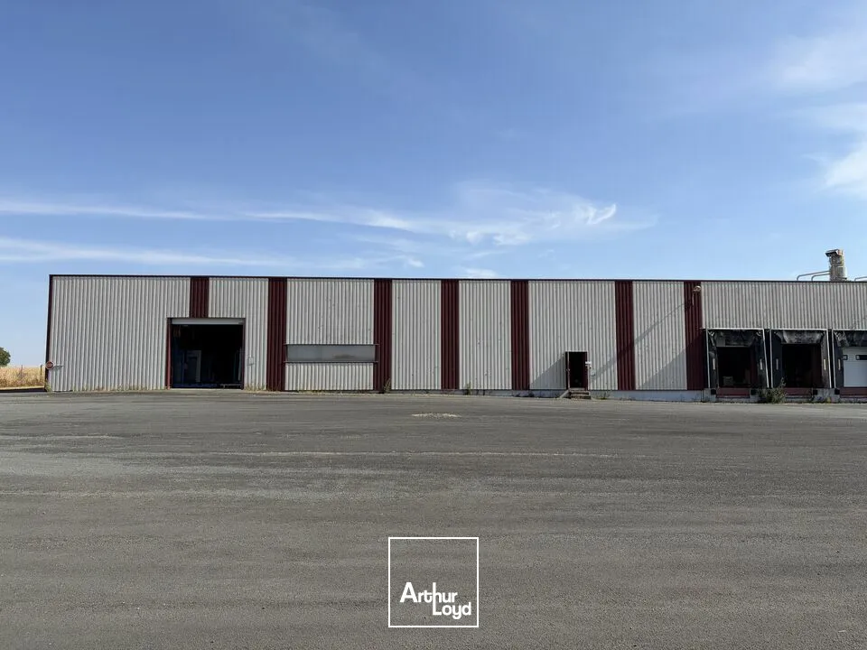Locaux d'activité & Entrepôts - Location - PAMPROUX - 79800 - 10520-10520 - 7817294