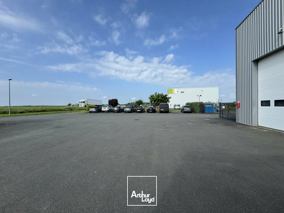 Locaux d'activité & Entrepôts - Vente - SAINT PATERNE RACAN - 37370 - 1200-1200 - 7817321