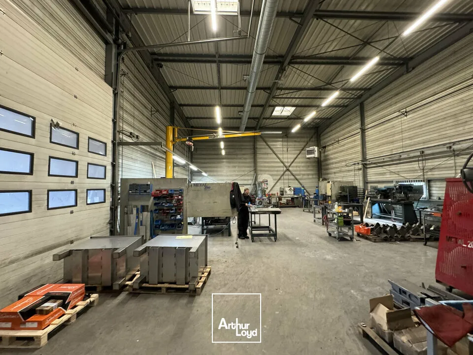 Locaux d'activité & Entrepôts - Vente - SAINT PATERNE RACAN - 37370 - 1200-1200 - 7817318