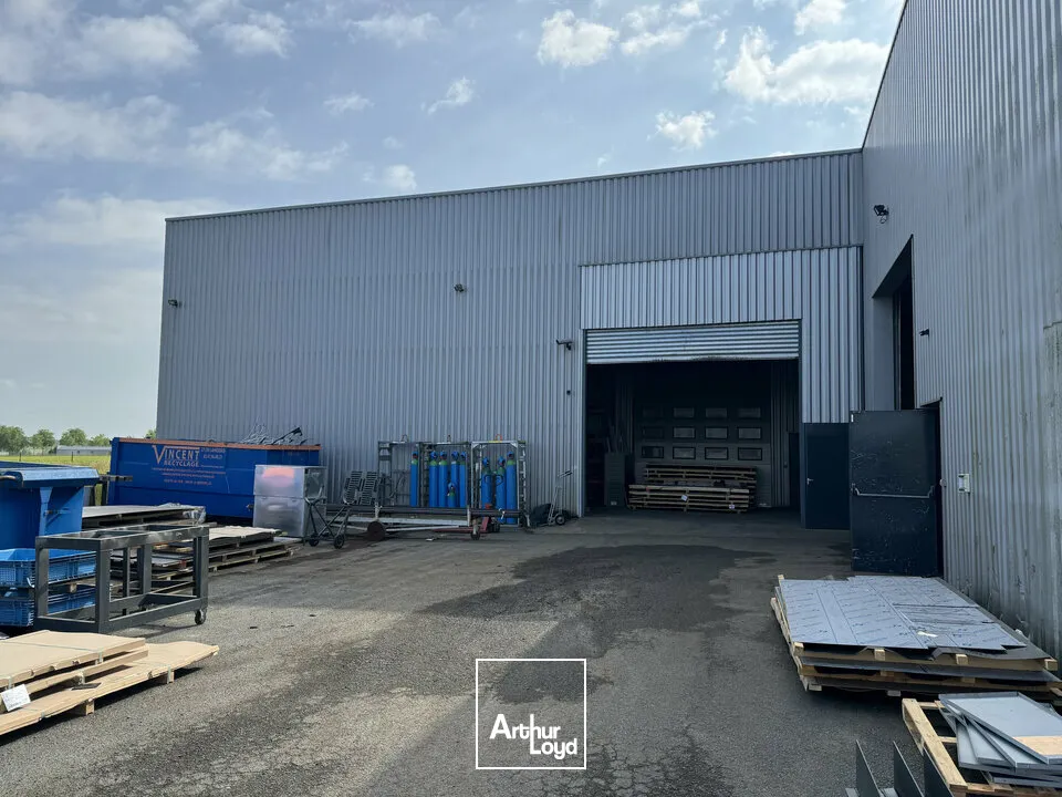 Locaux d'activité & Entrepôts - Vente - SAINT PATERNE RACAN - 37370 - 1200-1200 - 7817323