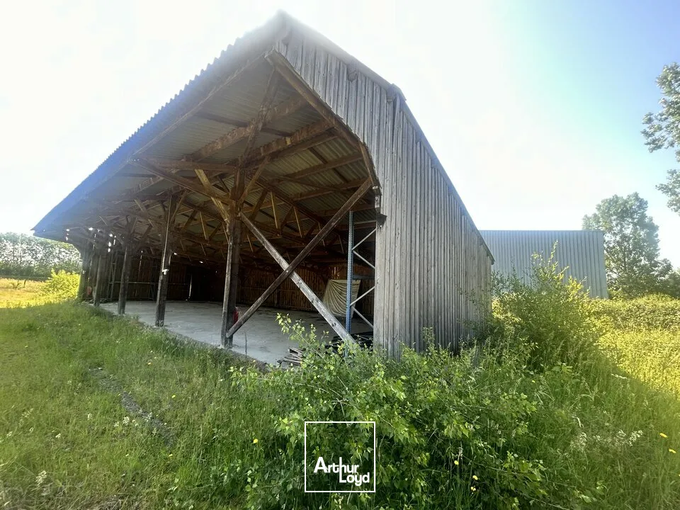 Locaux d'activité & Entrepôts - Vente - MONTMARAULT - 03390 - 2833-2833 - 7817630