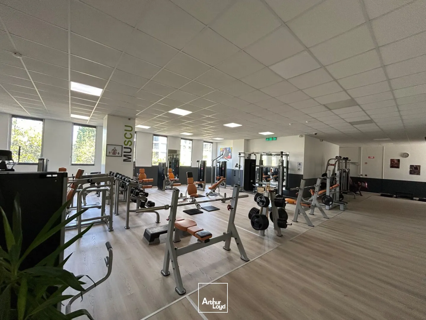 Locaux commerciaux - Location - NANTES - 44000 - 630-630 - 7817700