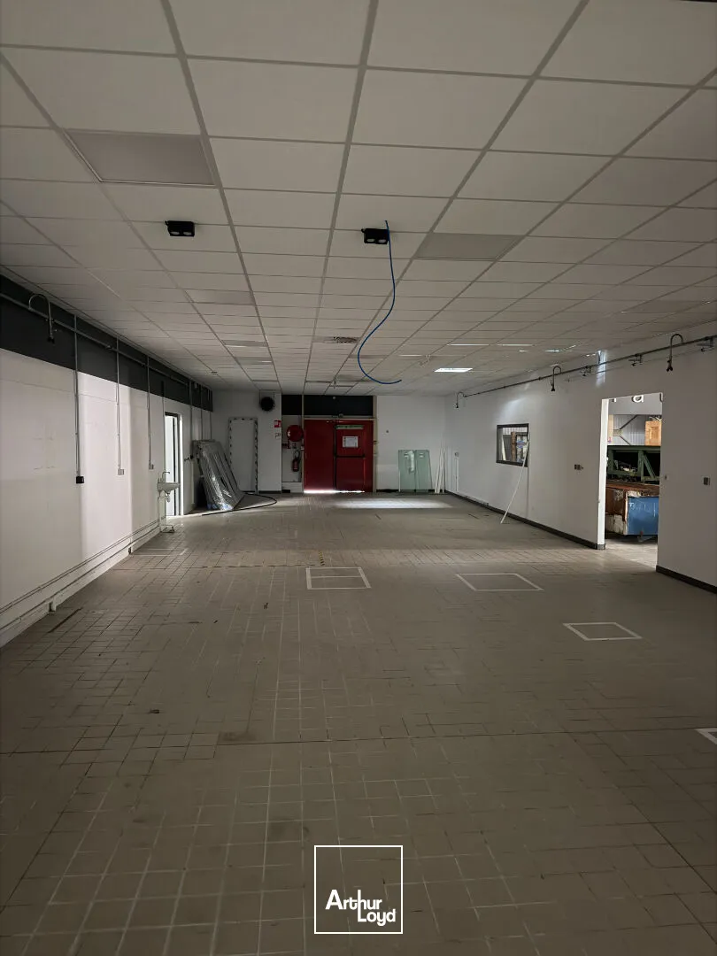 Locaux commerciaux - Location - ROCHECHOUART - 87600 - 1690-1690 - 7817998