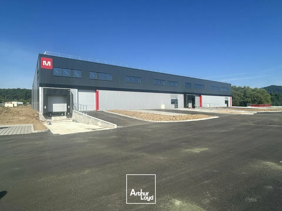 Locaux d'activité & Entrepôts - Location - THIONVILLE - 57100 - 671-4173 - 7818954