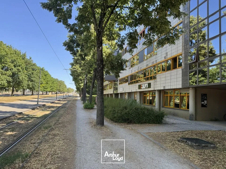 Bureaux - Location - DIJON - 21000 - 231-231 - 7818987