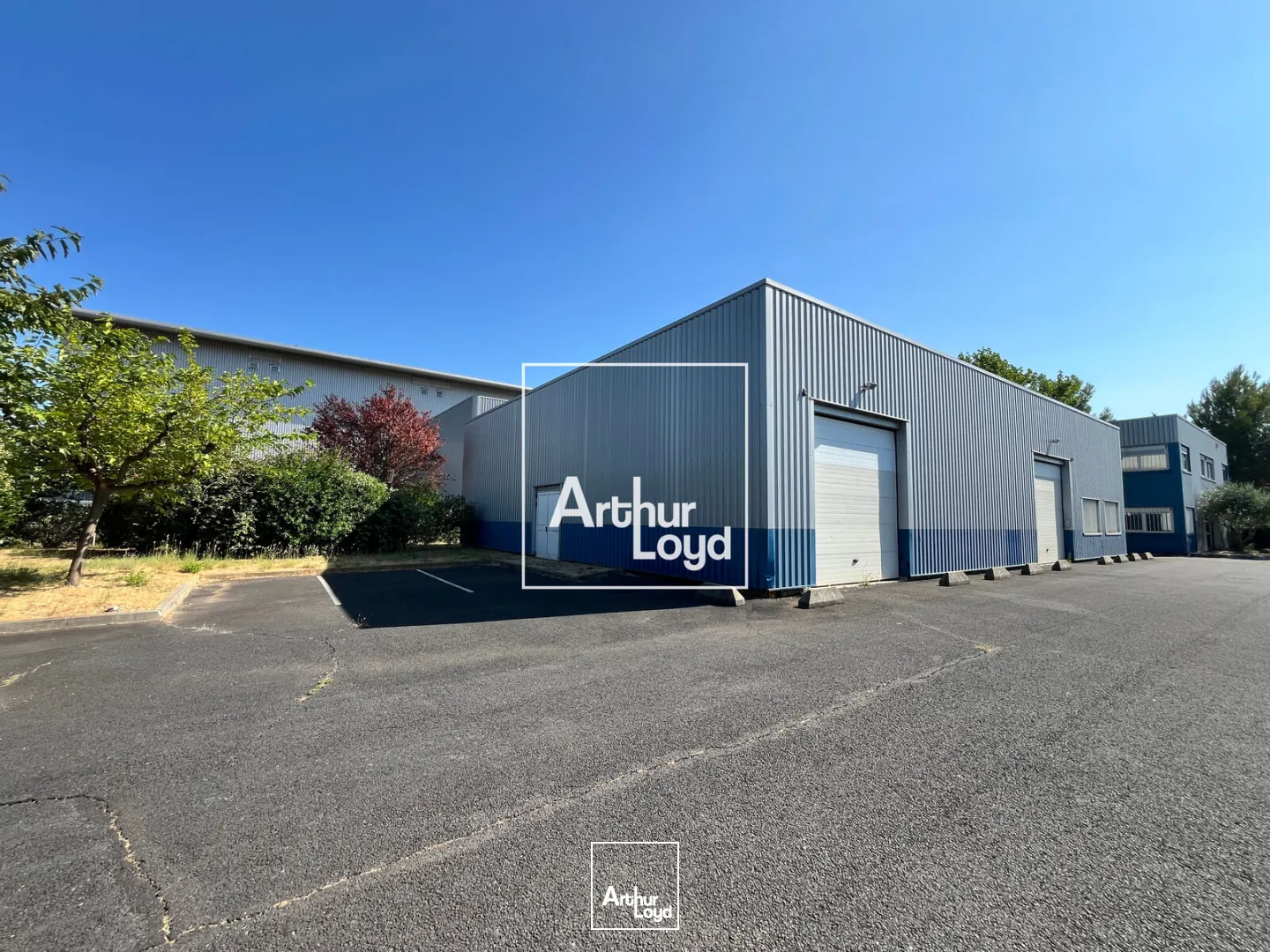 Locaux d'activité & Entrepôts - Location - GALLARGUES LE MONTUEUX - 30660 - 430-430 - 7819096