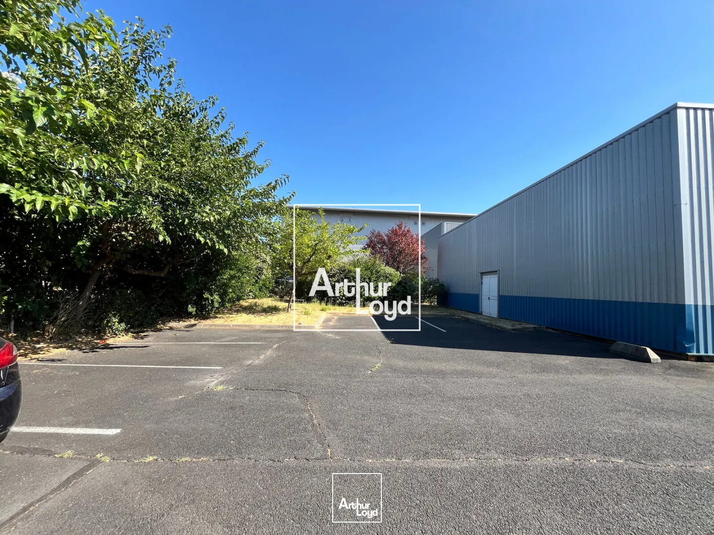Locaux d'activité & Entrepôts - Location - GALLARGUES LE MONTUEUX - 30660 - 430-430 - 7819097
