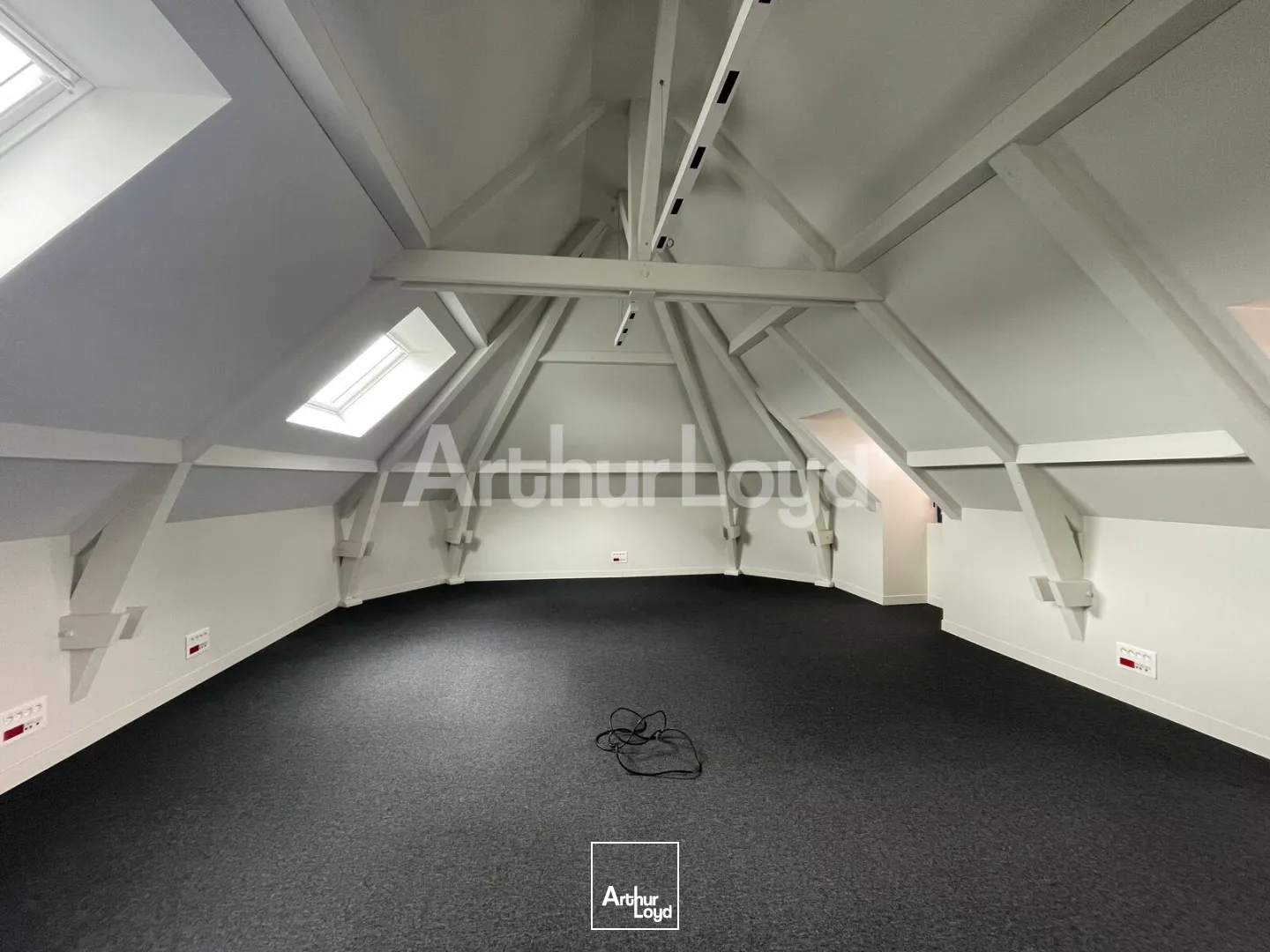 Bureaux - Location - VILLENEUVE D'ASCQ - 59650 - 166-166 - 7819714