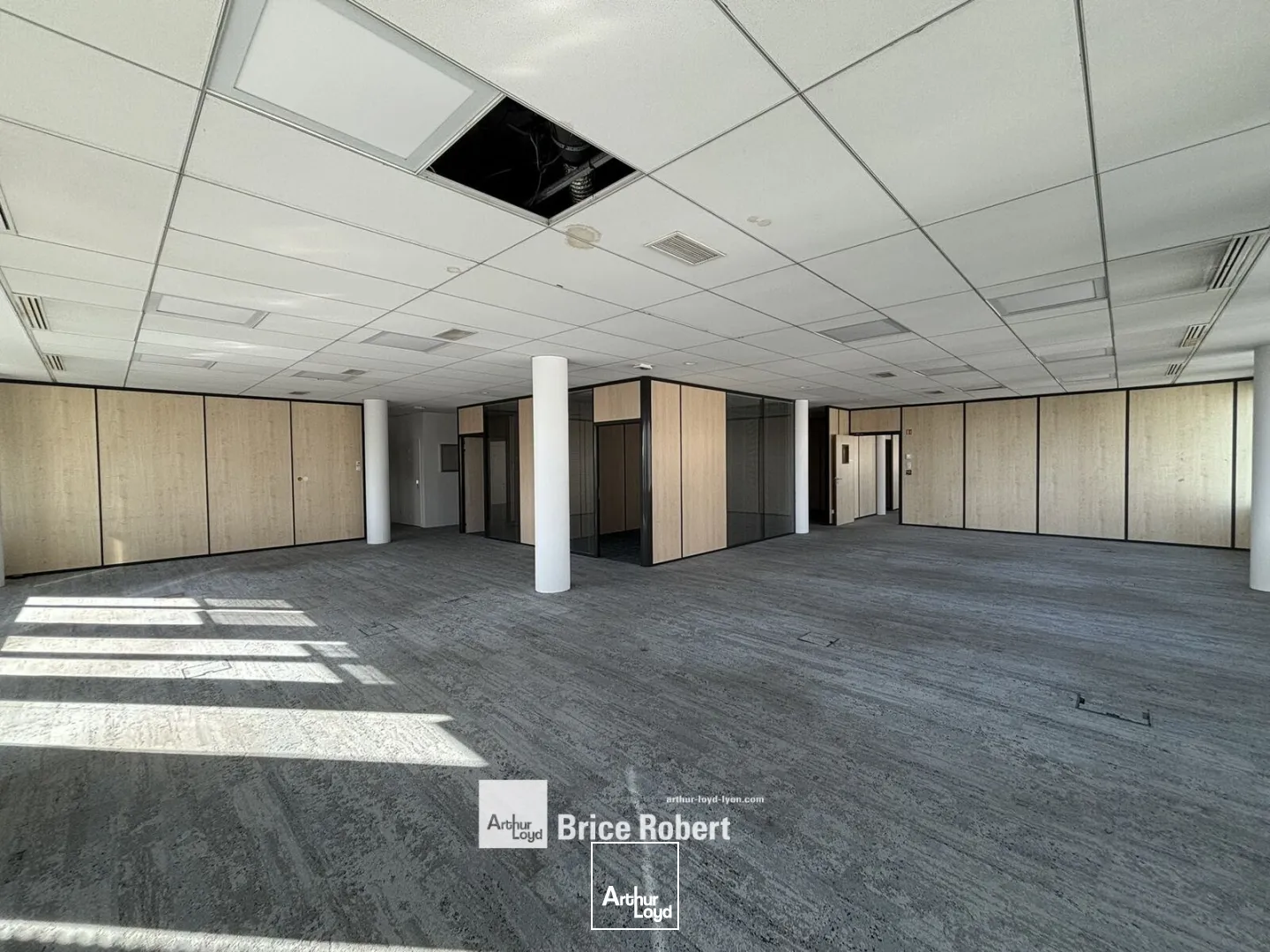 Bureaux - Location - LYON - 69006 - 595.1-1190.2 - 7819741