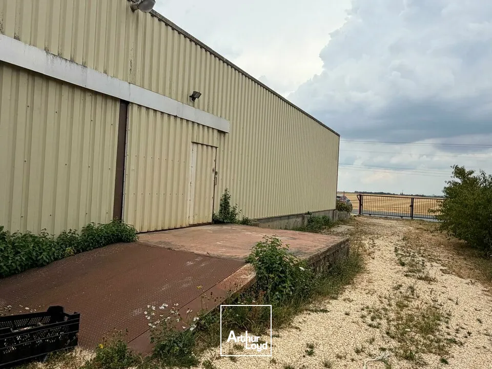 Locaux d'activité & Entrepôts - Location - TROUY - 18570 - 550-550 - 7821091