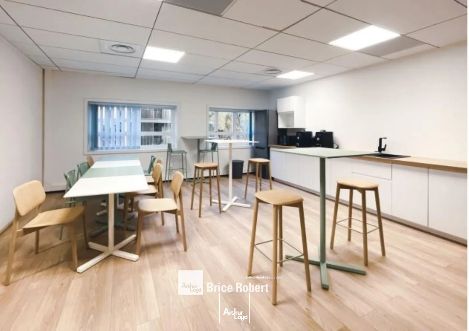 Bureaux - Location - LYON - 69009 - 201-1989.1 - 7821574