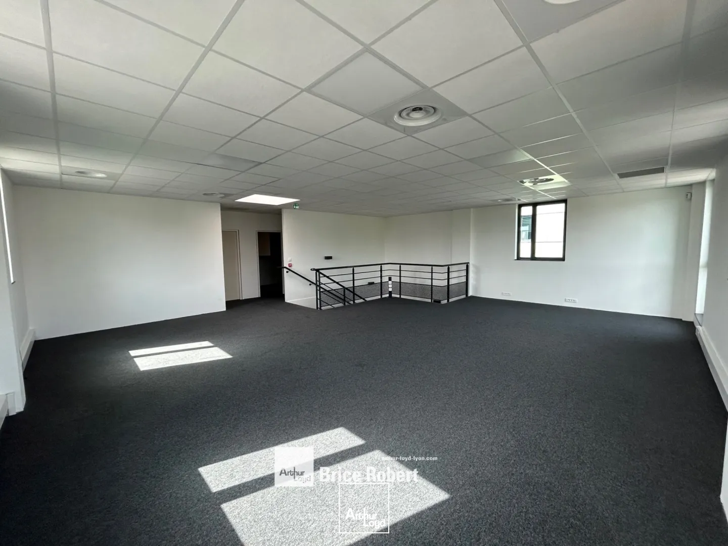 Locaux d'activité & Entrepôts - Location - RILLIEUX LA PAPE - 69140 - 456-456 - 7821622