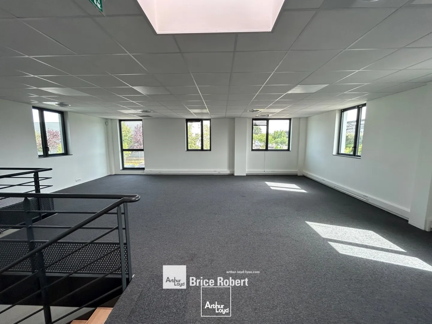 Locaux d'activité & Entrepôts - Location - RILLIEUX LA PAPE - 69140 - 456-456 - 7821626