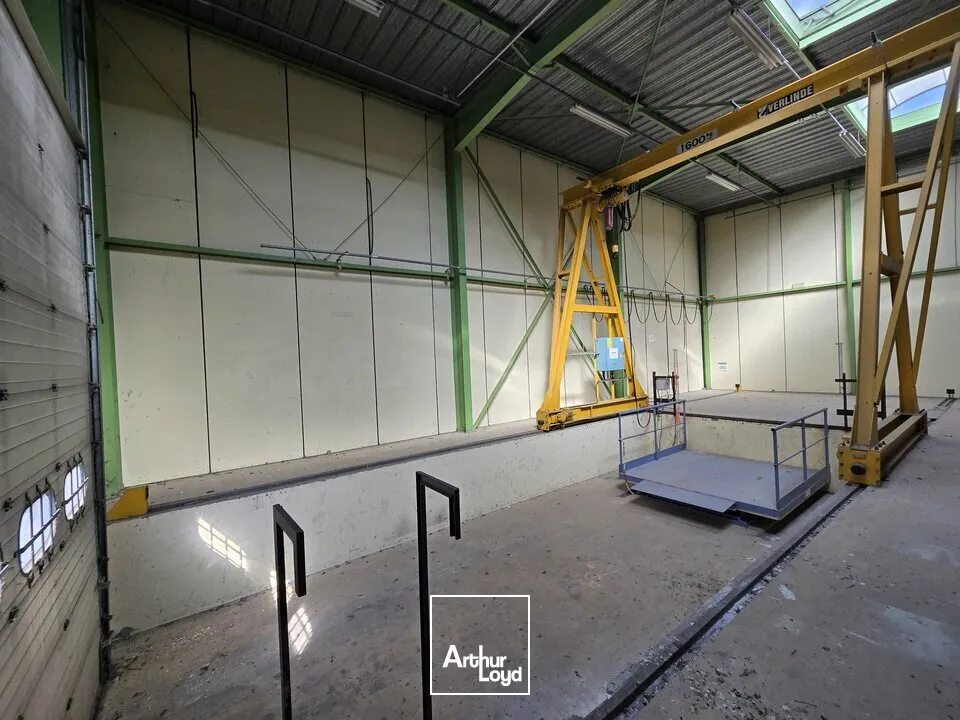 Locaux d'activité & Entrepôts - Location - METZ - 57070 - 500-500 - 7822752