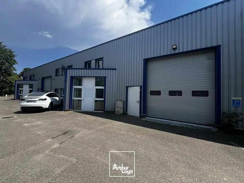 Locaux d'activité & Entrepôts - Location - NIEDERMODERN - 67350 - 746-746 - 7822780