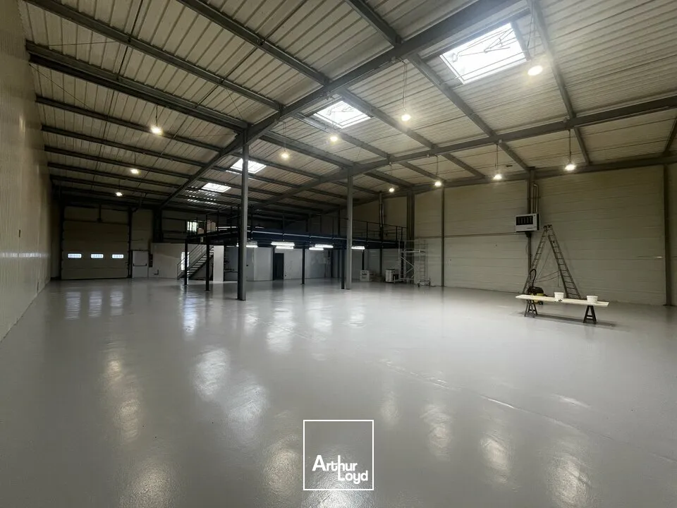 Locaux d'activité & Entrepôts - Location - NIEDERMODERN - 67350 - 746-746 - 7822779