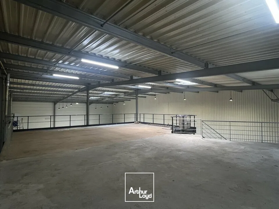 Locaux d'activité & Entrepôts - Location - NIEDERMODERN - 67350 - 746-746 - 7822781