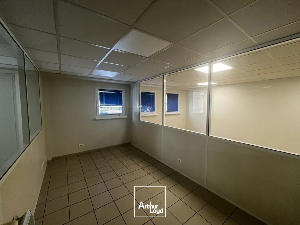 Locaux d'activité & Entrepôts - Location - NIEDERMODERN - 67350 - 746-746 - 7822783