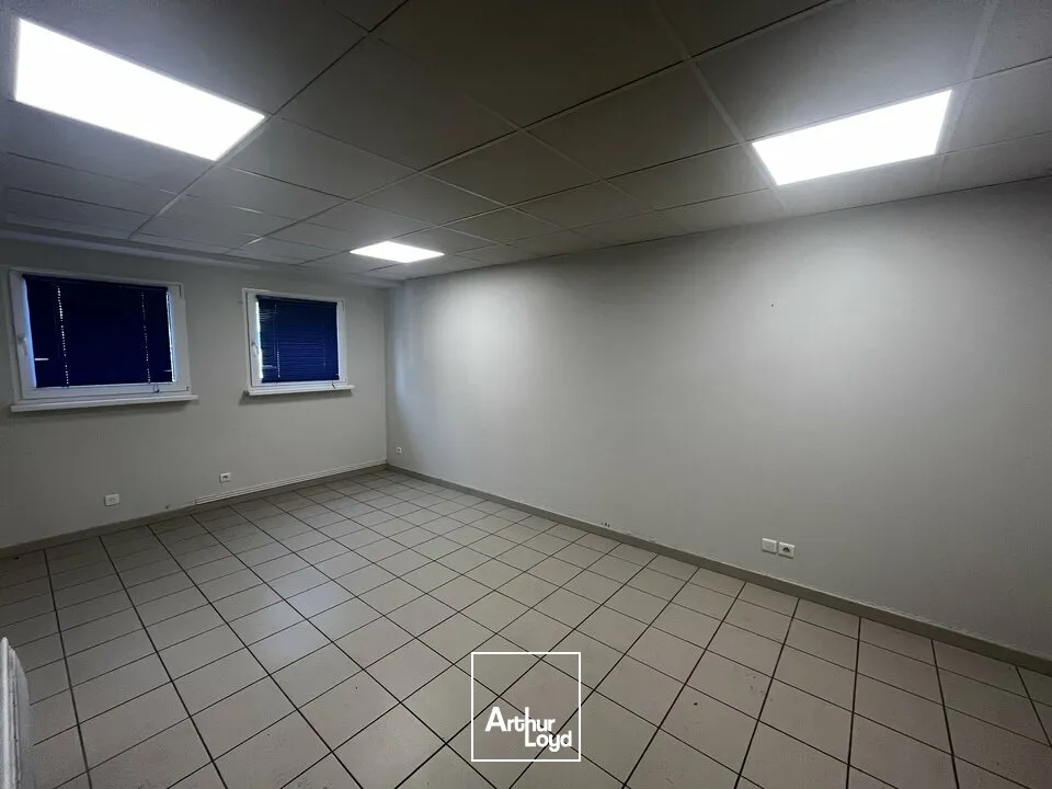 Locaux d'activité & Entrepôts - Location - NIEDERMODERN - 67350 - 746-746 - 7822784