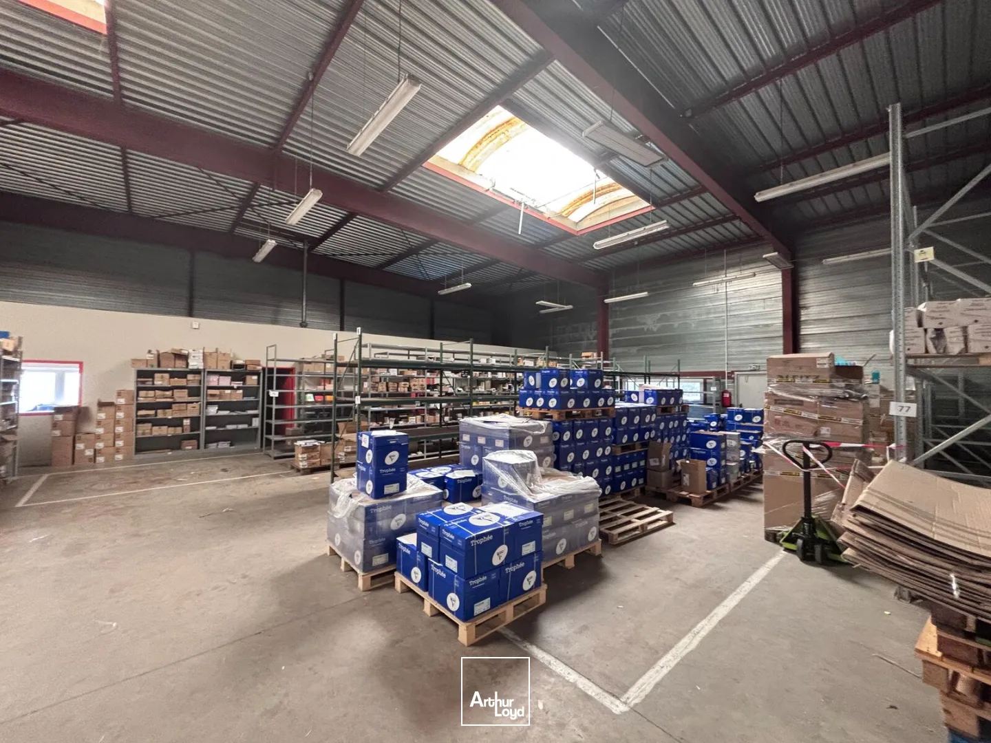 Locaux d'activité & Entrepôts - Vente - CARQUEFOU - 44470 - 1082-1082 - 7823269