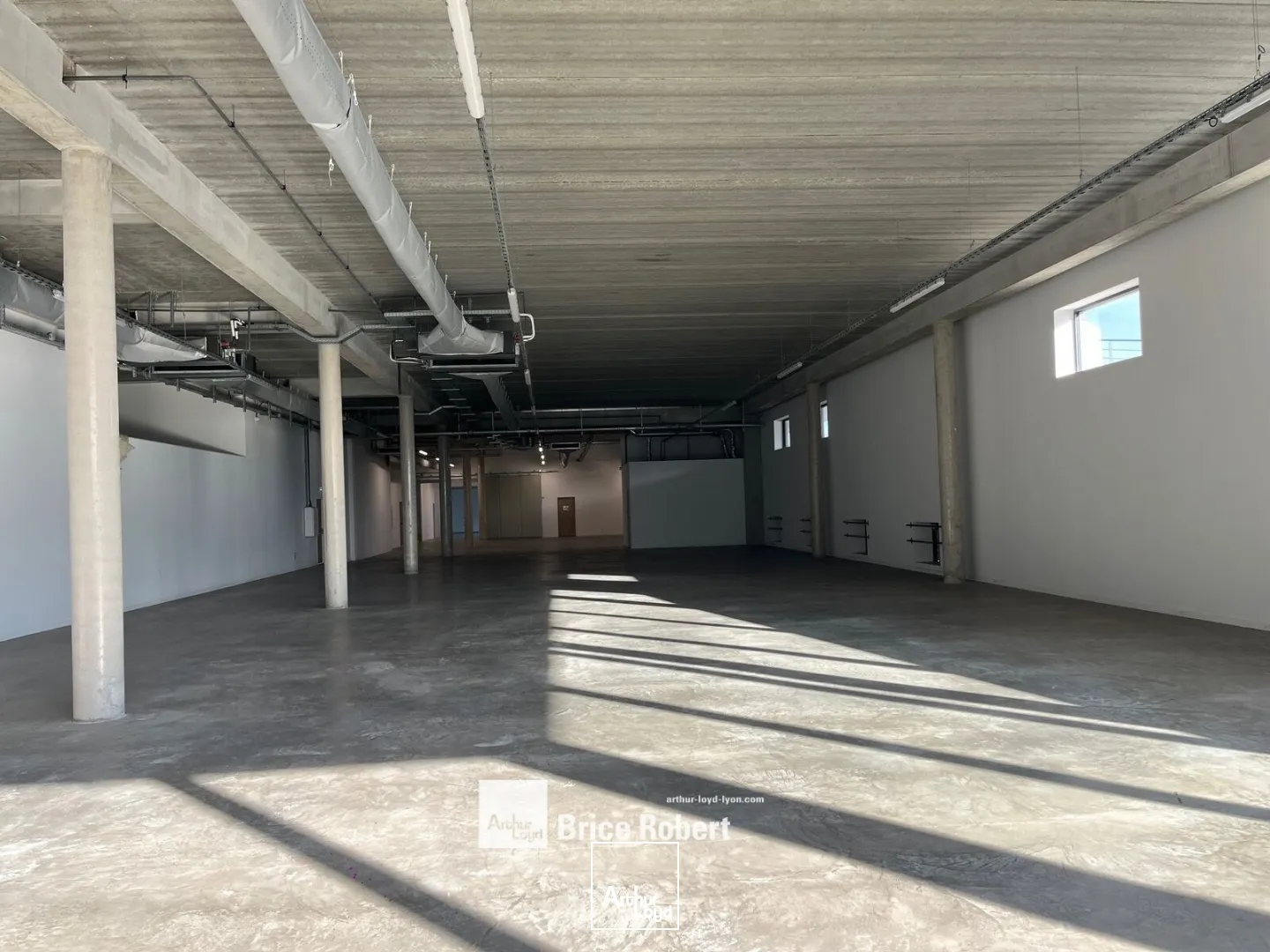 Locaux d'activité & Entrepôts - Location - VENISSIEUX - 69200 - 3738-3738 - 7824178