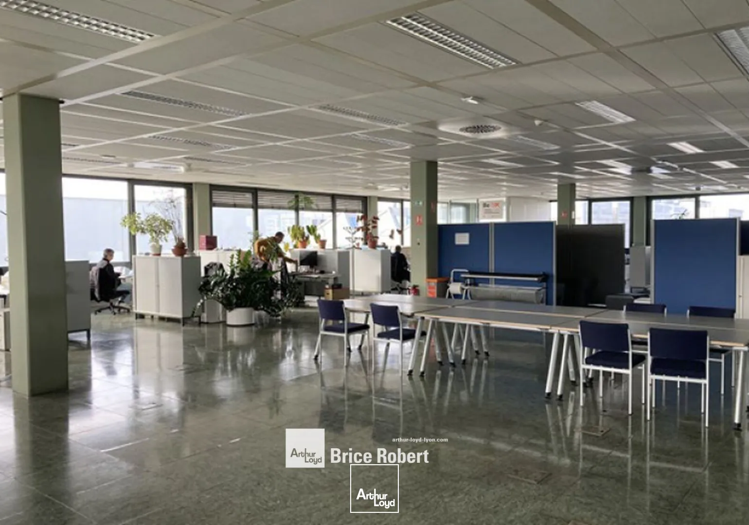 Locaux d'activité & Entrepôts - Location - VENISSIEUX - 69200 - 2565.41-2565.41 - 7824213