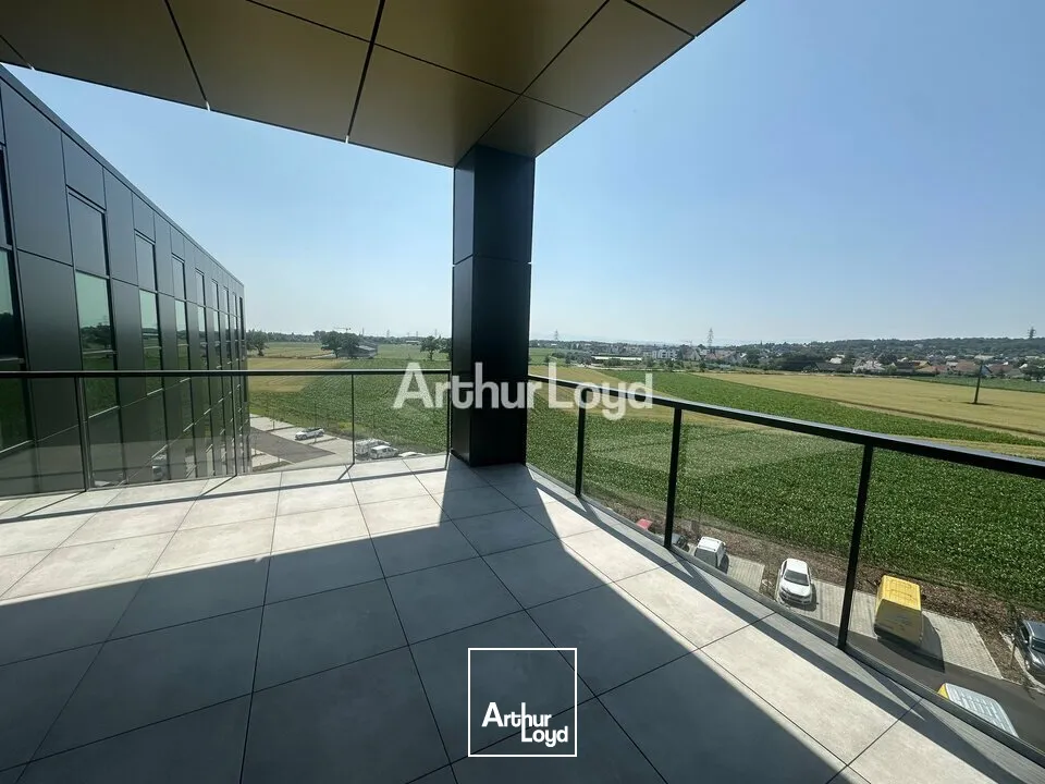 Bureaux - Location - SCHILTIGHEIM - 67300 - 91-390 - 7826260