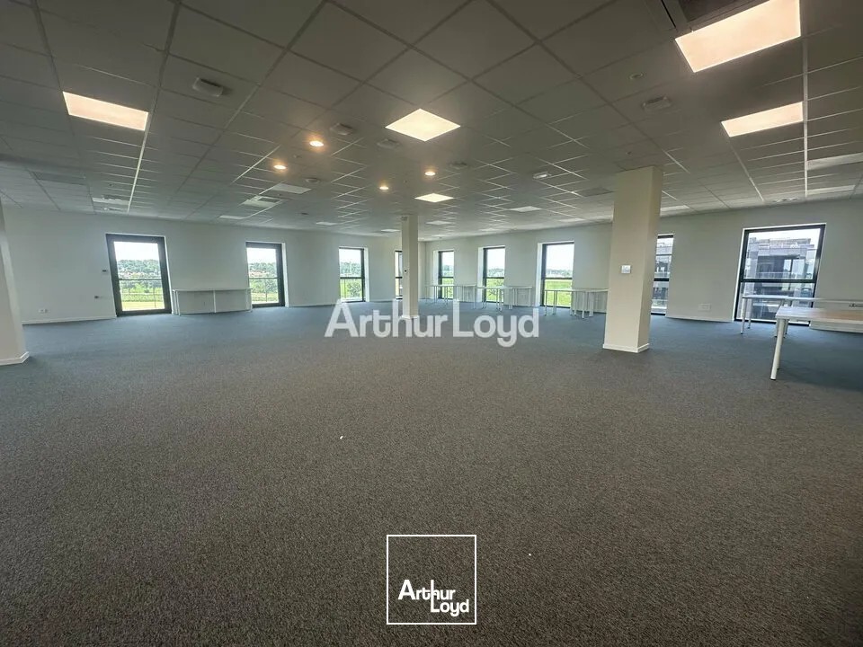 Bureaux - Location - SCHILTIGHEIM - 67300 - 91-390 - 7826265