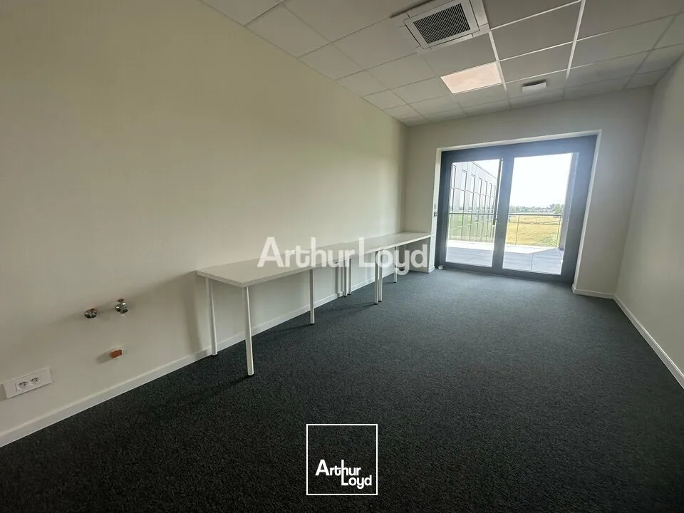 Bureaux - Location - SCHILTIGHEIM - 67300 - 91-390 - 7826262
