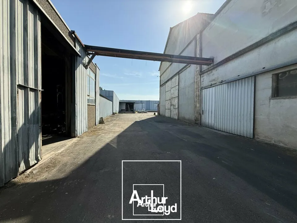 Locaux d'activité & Entrepôts - Vente - BRIVE-LA-GAILLARDE - 19100 - 29092-29092 - 7826325