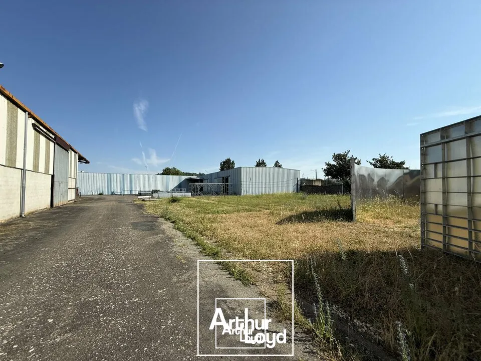 Locaux d'activité & Entrepôts - Vente - BRIVE-LA-GAILLARDE - 19100 - 29092-29092 - 7826328