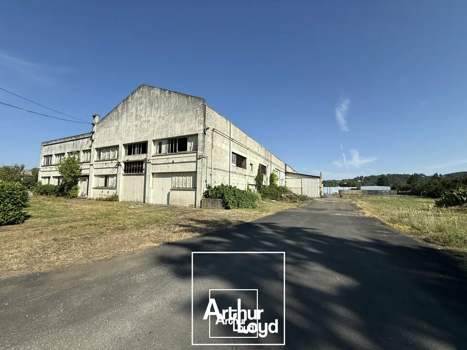 Locaux d'activité & Entrepôts - Vente - BRIVE-LA-GAILLARDE - 19100 - 29092-29092 - 7826329