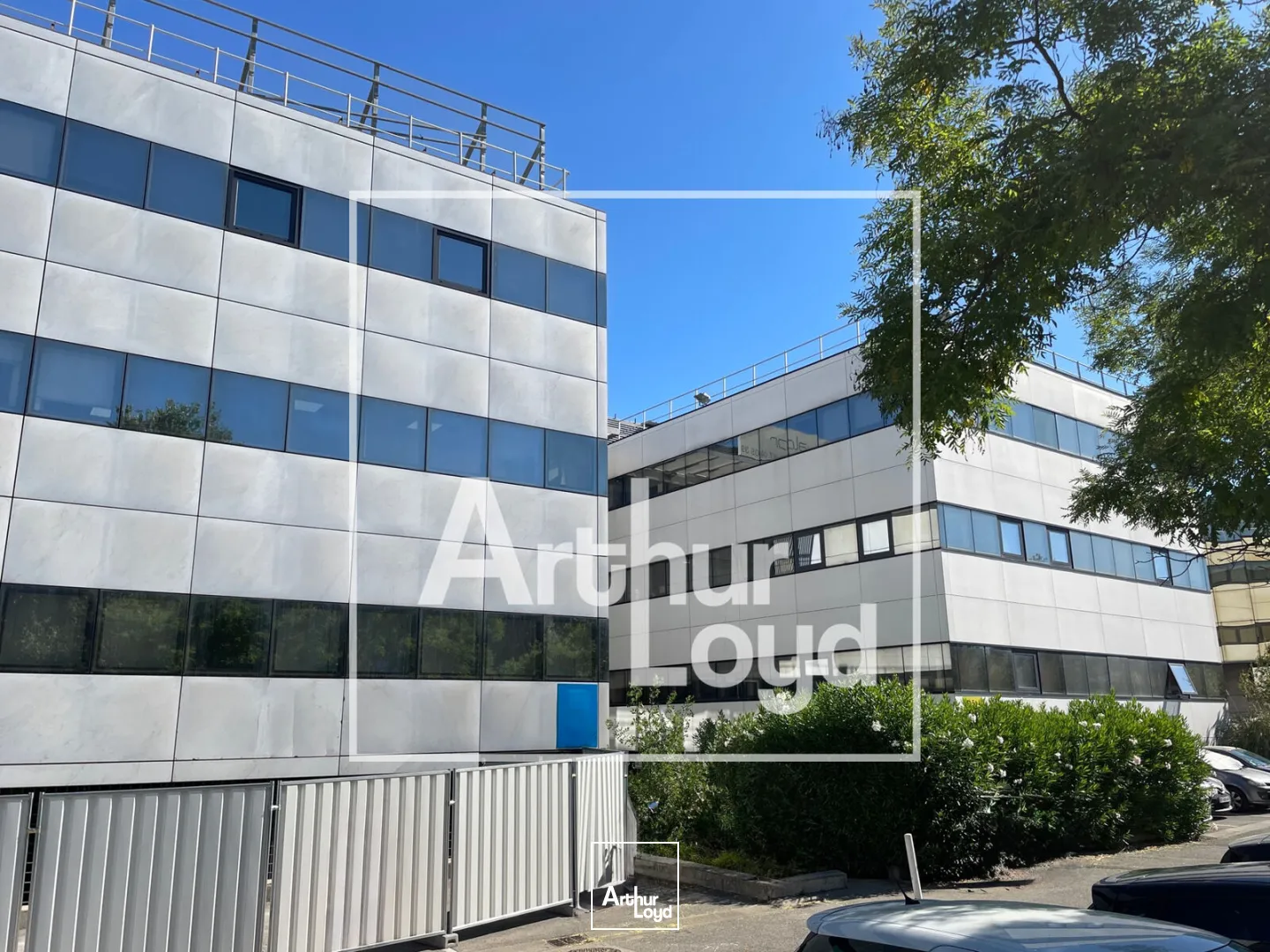 Bureaux - Vente - MONTPELLIER - 34000 - 250-250 - 7826458