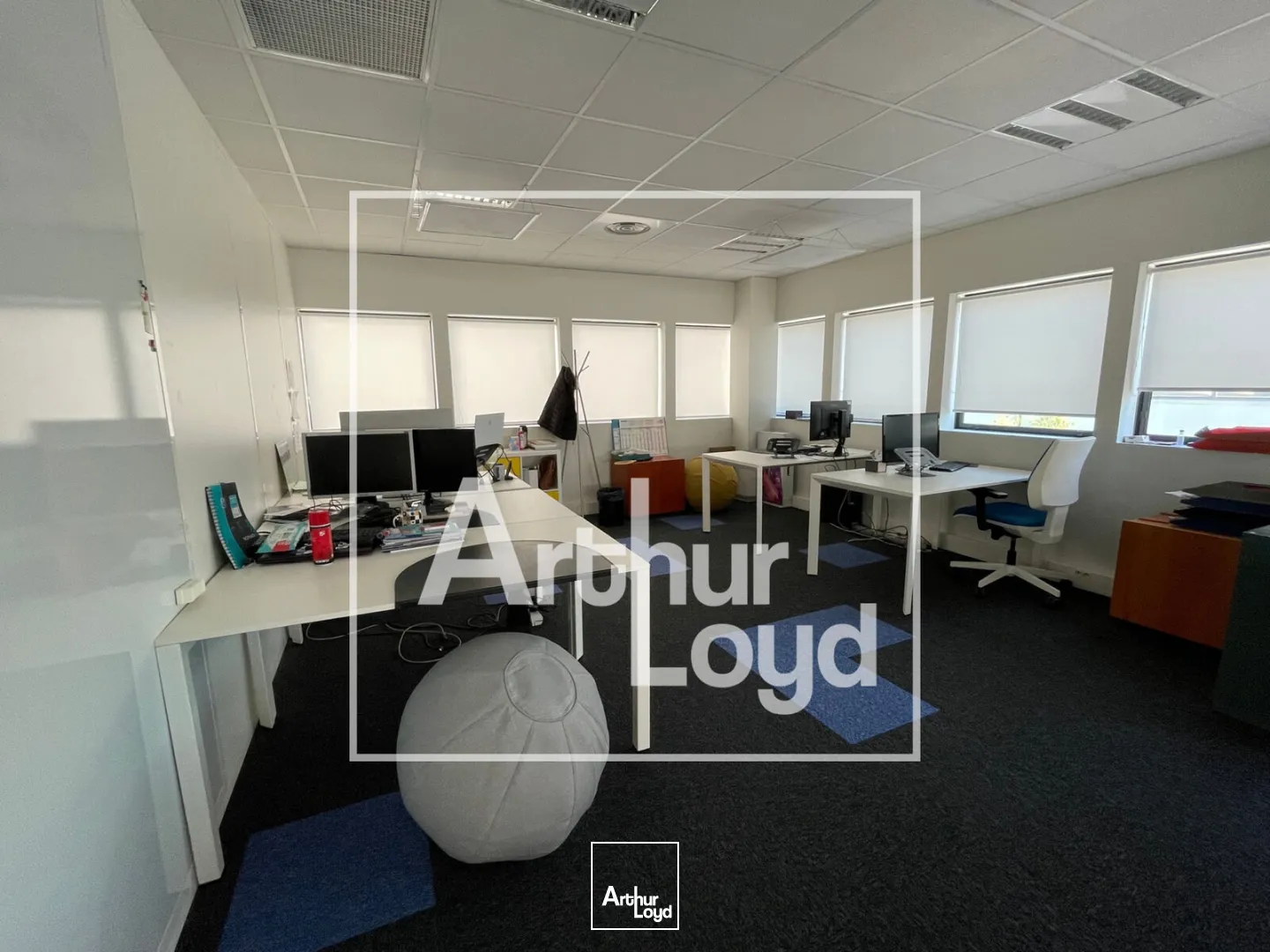 Bureaux - Vente - MONTPELLIER - 34000 - 250-250 - 7826463