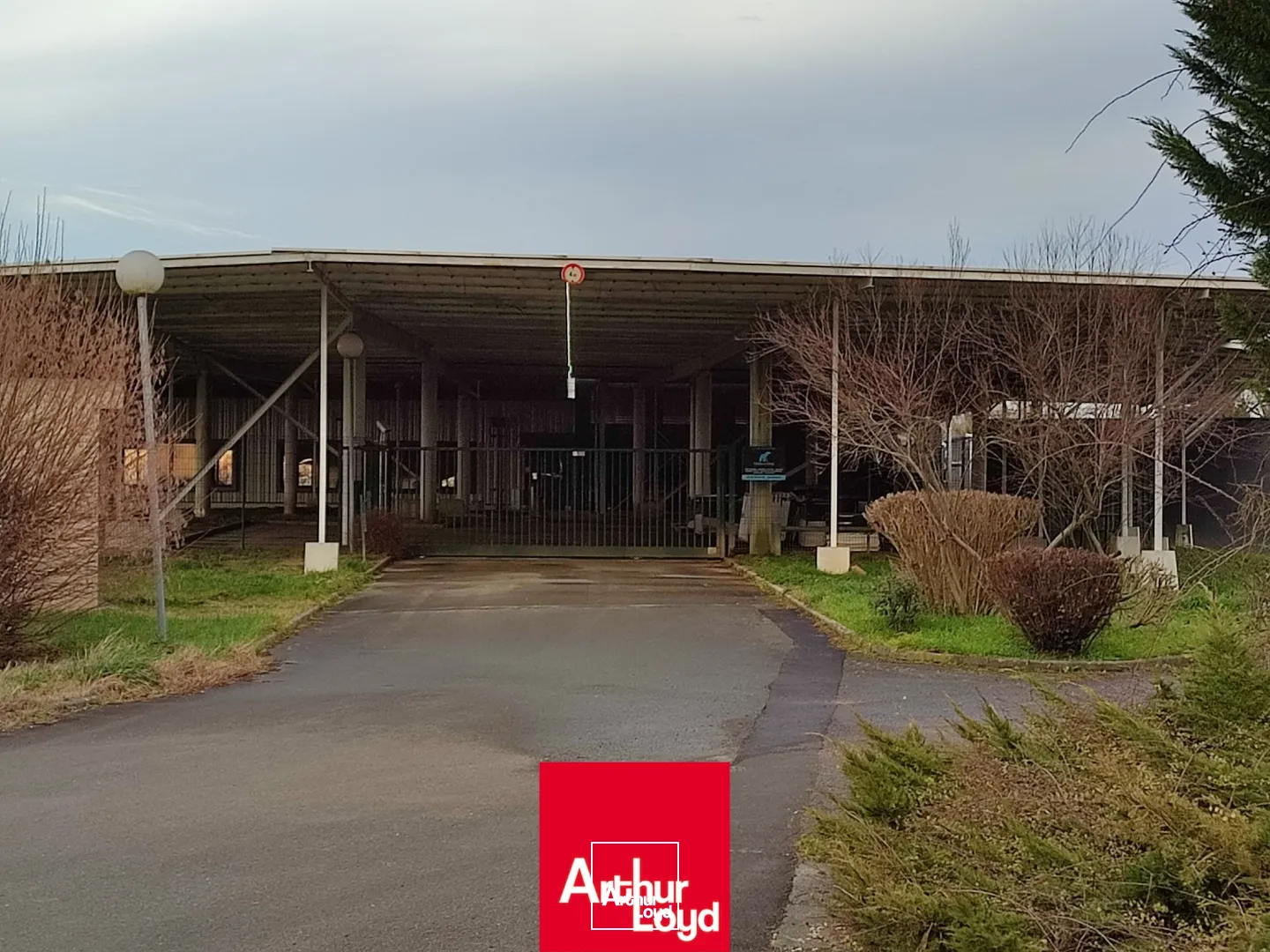 Locaux d'activité & Entrepôts - Location - SAINT TRIVIER SUR MOIGNANS - 01990 - 6750-6750 - 7826936