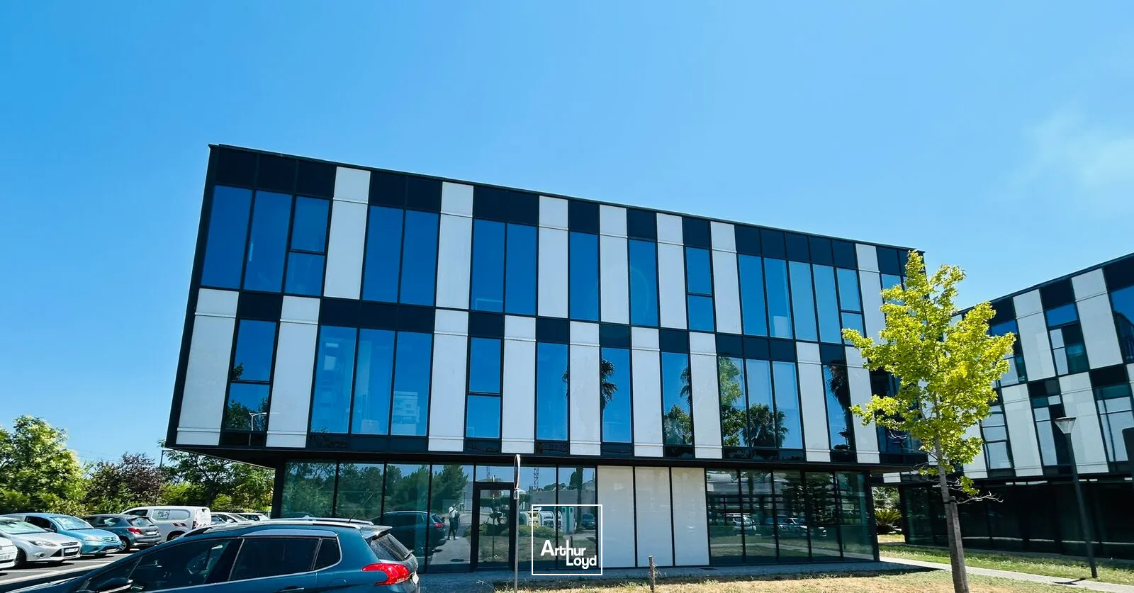 Bureaux - Location - PERPIGNAN - 66100 - 150.17-150.17 - 7827074