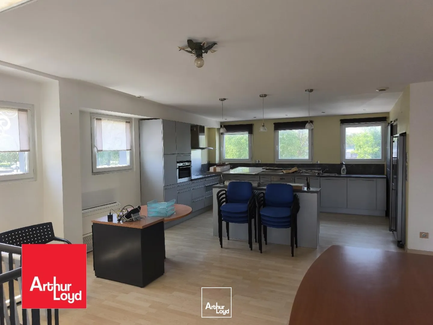 Locaux d'activité & Entrepôts - Location - LUISANT - 28600 - 165-165 - 7827338