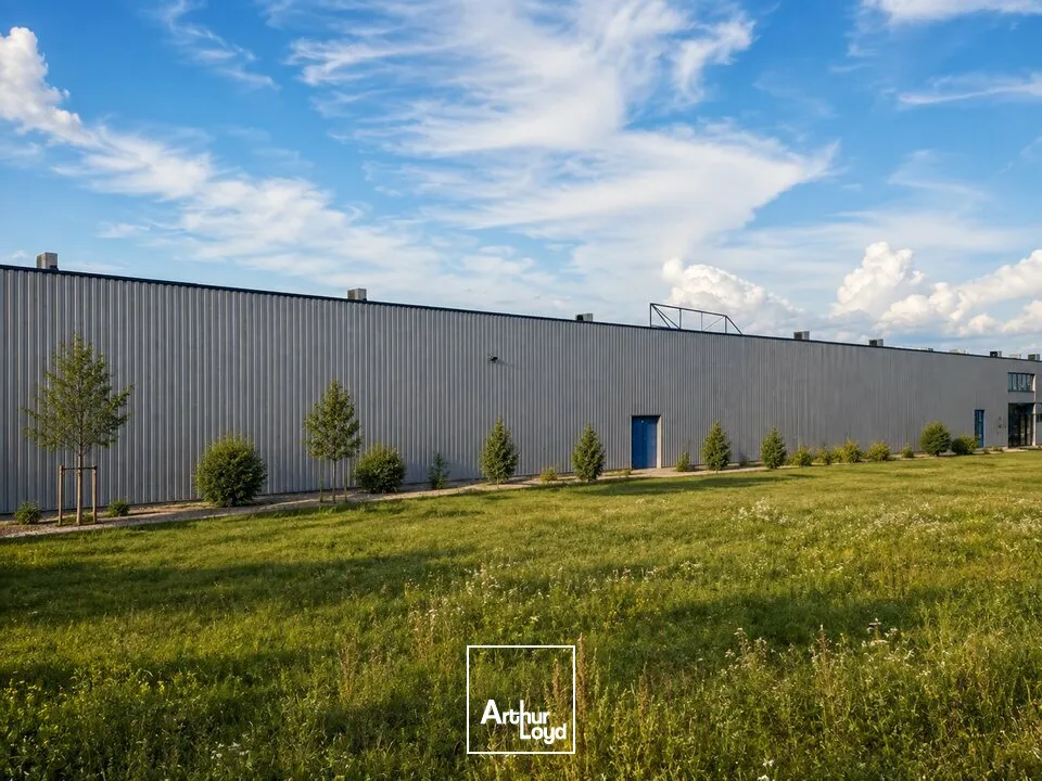 Locaux commerciaux - Location - ÉPINAL - 88000 - 1836-1836 - 7828079