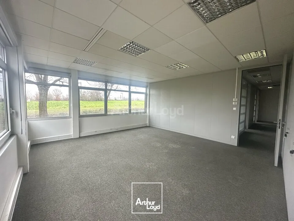 Bureaux - Location - ENTZHEIM - 67960 - 90-538.39 - 7828094