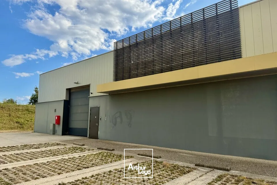 Locaux commerciaux - Location - MONTIVILLIERS - 76290 - 1200-1200 - 7828179