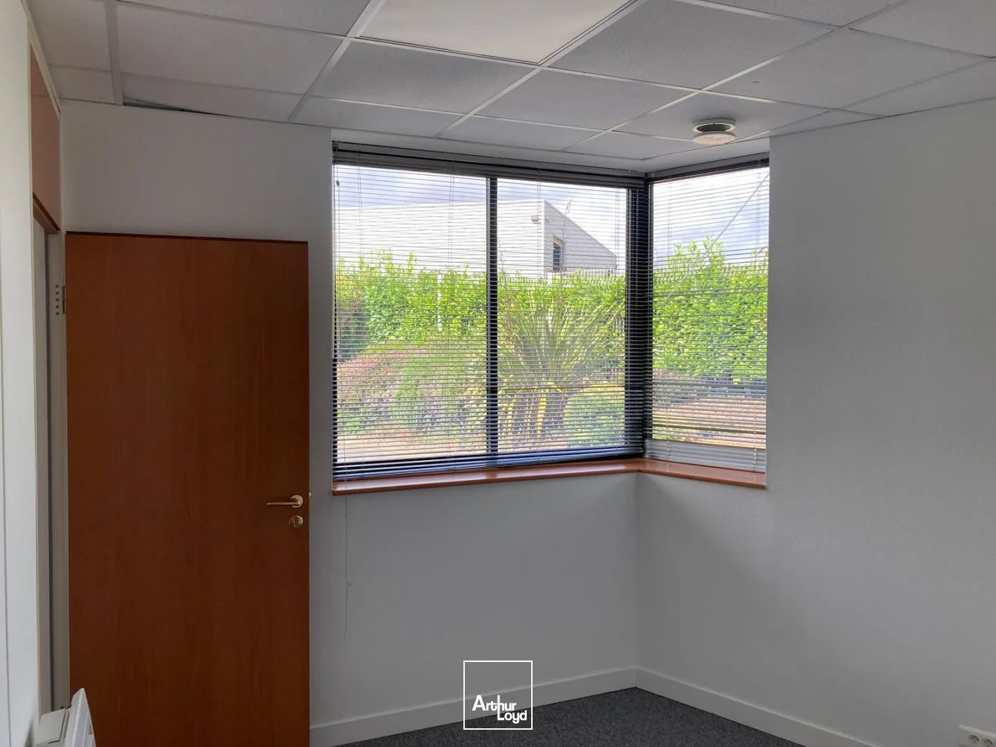Bureaux - Location - GUIPAVAS - 29490 - 10.55-56.73 - 7828246