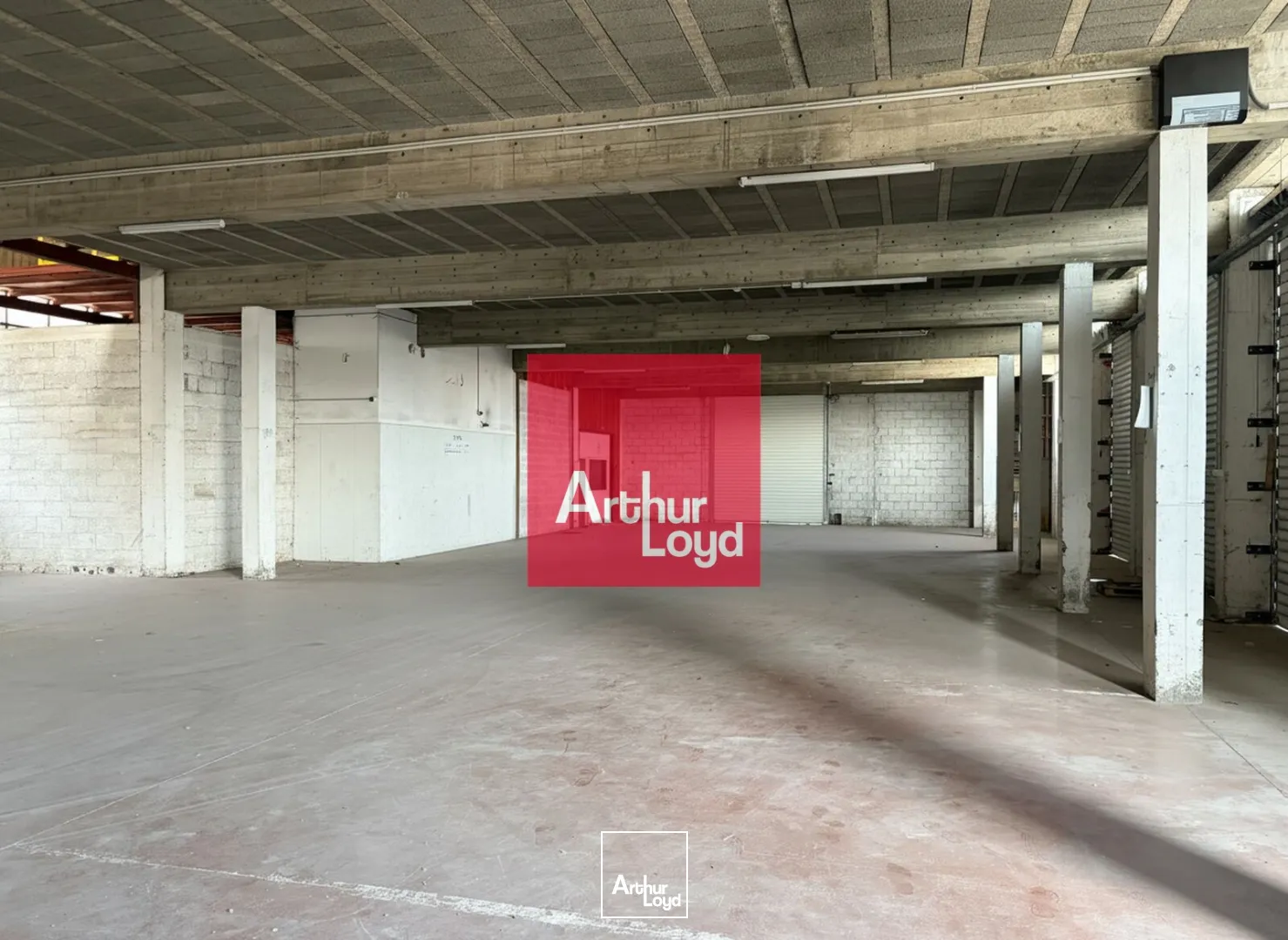 Locaux d'activité & Entrepôts - Location - ECHIROLLES - 38130 - 1170-1170 - 7828283