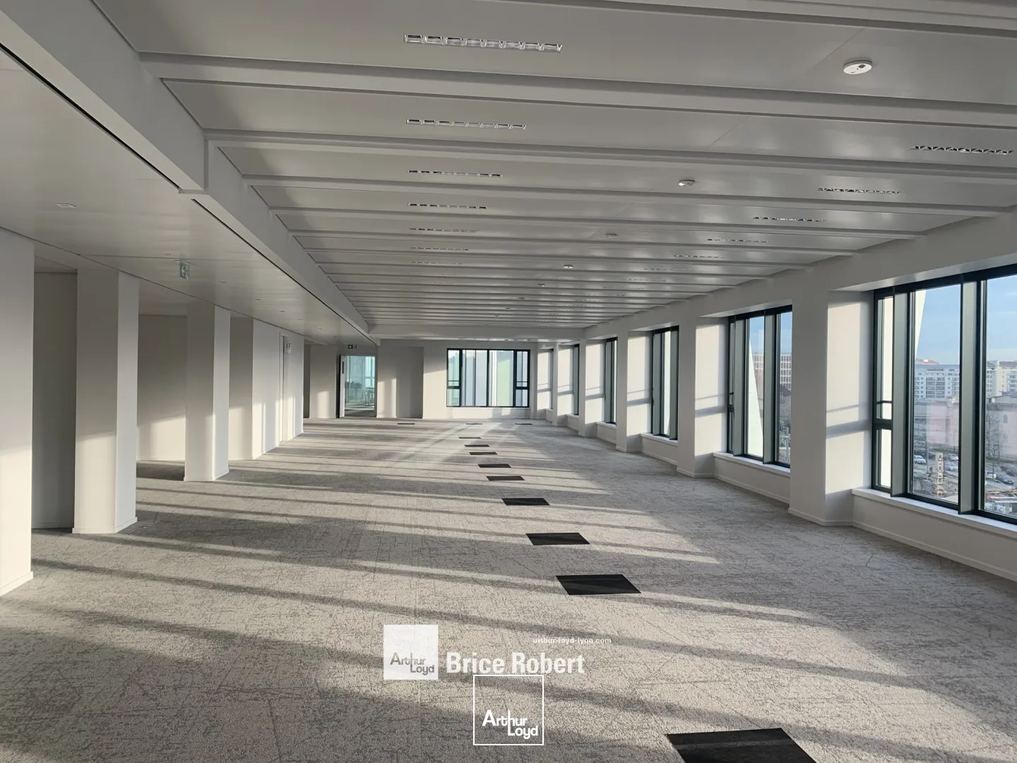 Bureaux - Location - LYON - 69003 - 281.6-281.6 - 7828645
