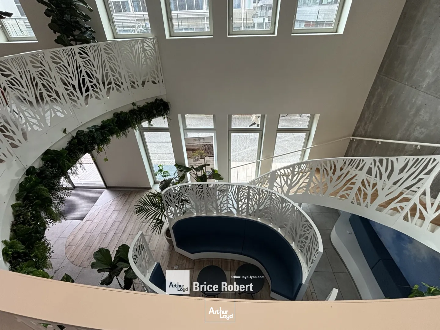 Bureaux - Location - LYON - 69002 - 256-256 - 7828659