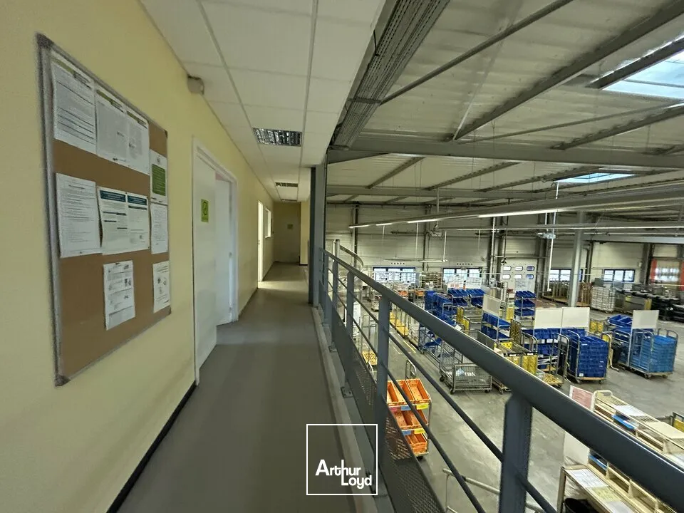 Locaux d'activité & Entrepôts - Location - MARLY - 57155 - 1439-1439 - 7828894