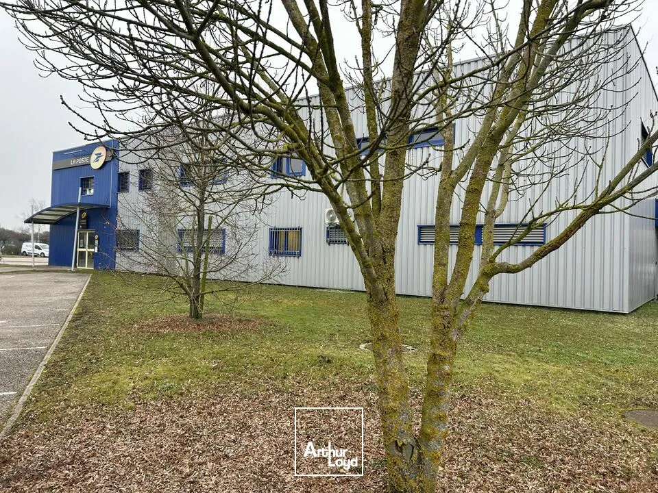 Locaux d'activité & Entrepôts - Location - MARLY - 57155 - 1439-1439 - 7828885